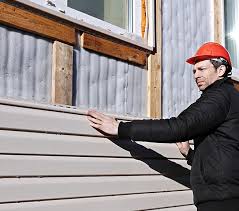 Best Historical Building Siding Restoration  in Milford, DE